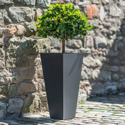 A tree planter surrounded by lush greenery.